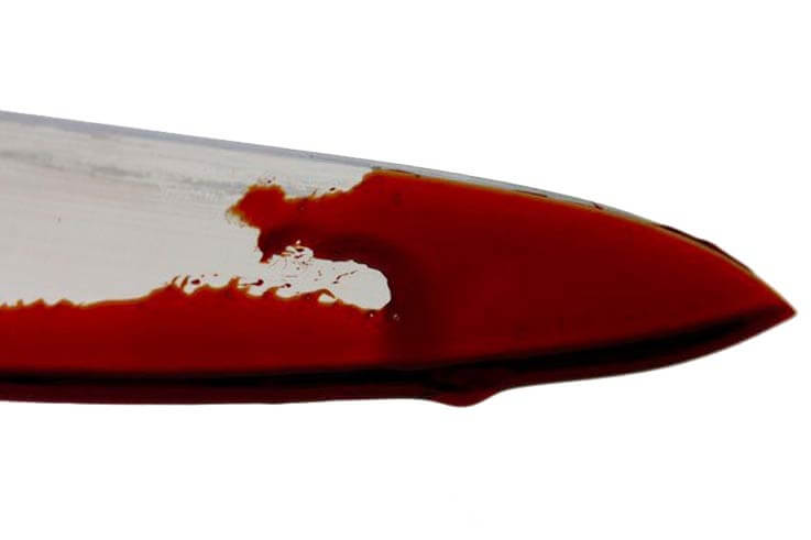 Artificial blood bottle 250 ml - film blood 